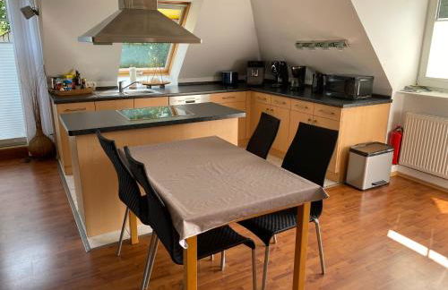 Moderne Maisonette-Wohnung am Karpfenteich; modern Apartment with view of the carp pond - Foto 28