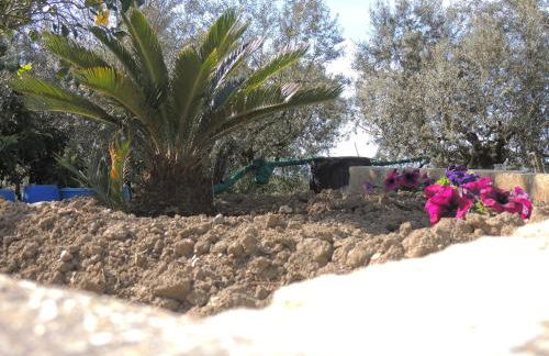 Johanna’s house - Foto 32