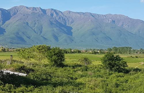 Kerkini's Harmony House - Foto 46