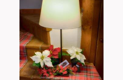 Il Rosciolo Sulla Francigena - Foto 69