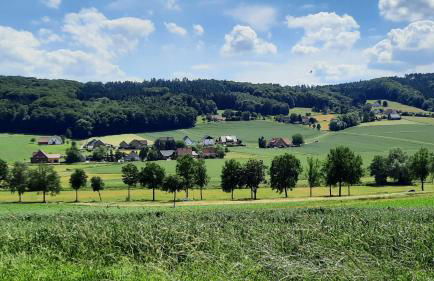 Fewo Kranich im Eggetal - Foto 21