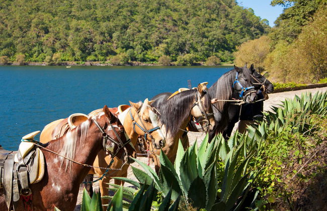 Sierra Lago Resort & Spa - Foto 72