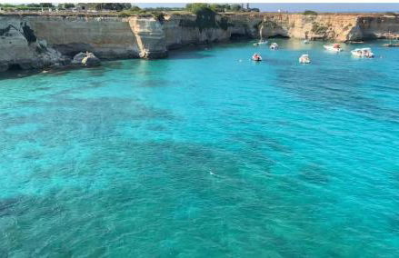 The Sunflower - Foto 46