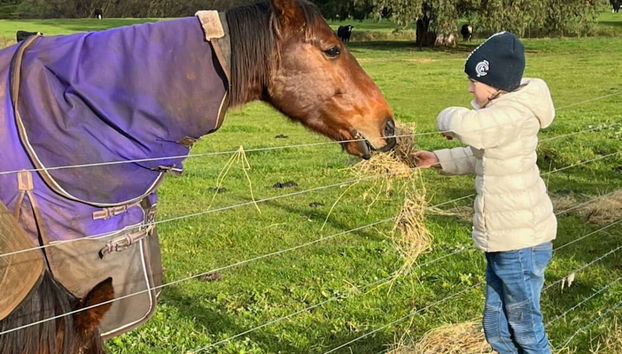 Jilly Park Farm Interactive Experience - Foto 3, Habitación