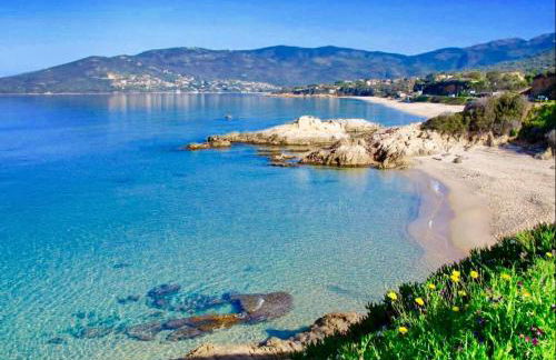 L'armandulina - Foto 35