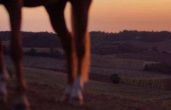 Logement entier de charme, gite équestre GERS Flamarens - Foto 51