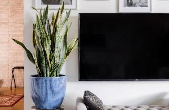 The Claremont #1 - Foto 11