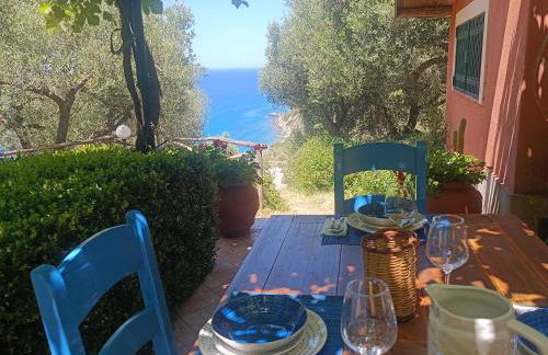 Ville Selena e Gemma - Foto 2