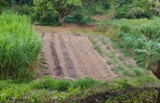 Sítio com piscina natural Cachoeiras de Macacu - Foto 48