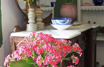 Casa de Rosa - Foto 17