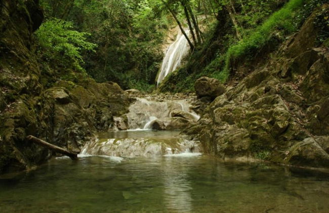 Tuscany Family Country Home - Photo 40