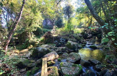 Casa da Mena - Casa de Campo no Caramulo - Foto 27