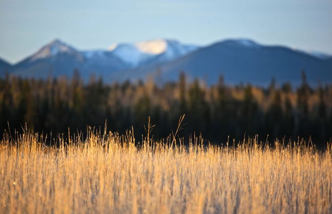 Meadow Lake Guest Ranch - Photo 79