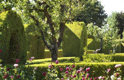 Douro - A Casinha da Ana - Photo 6