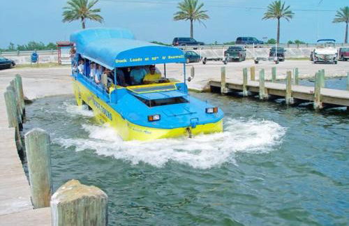 The Q Loft Galveston - Foto 49