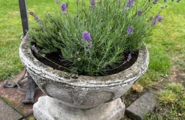 Ferienhaus Weserblick, Haus Forelle - Foto 25