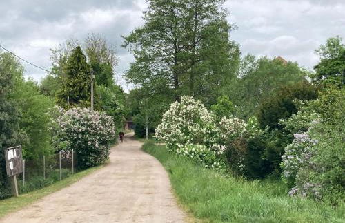 Alt Krassow Lakeside Retreat - Foto 70