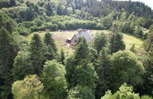 LE DOMAINE DE LA LOUVE BLANCHE - Foto 1