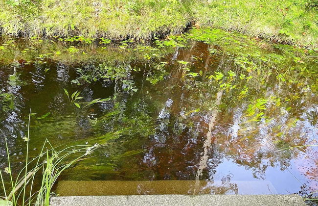 6 Person Holiday Home in Bralanda-by Traum - Foto 34