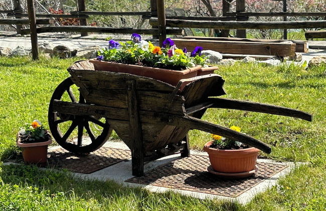 B&B Verger Plein Soleil - Foto 71