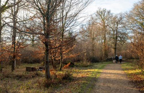 Spacious 5BR Home Near New Forest & Coast - Parking - Sleeps 10 - Photo 56