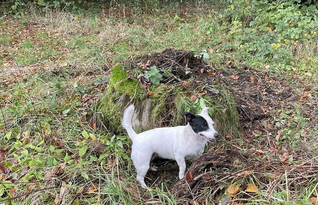 1-bed Luxury Studio Apartment Cockermouth - Foto 17