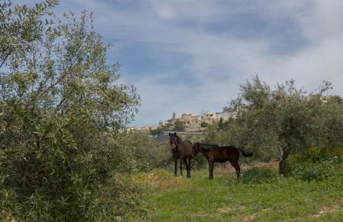 Tranditional Stone House - Foto 17