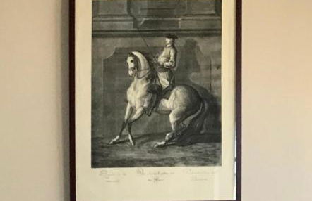 Ferienhaus am Schloss Meseberg - Foto 13