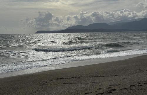 Jassemi Studio - Foto 22