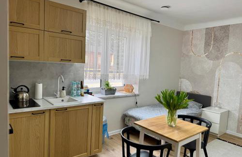 Noclegi, pokoje, kwatery "Nad Bzurą" - Foto 43