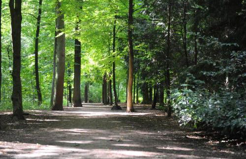 Stadtpark-Domizil - 70 qm, zentral & ruhig - Foto 21