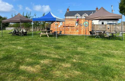 Ty Cam - Of5 - Photo 19