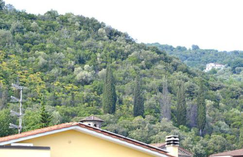 Il Pettirosso - Foto 29