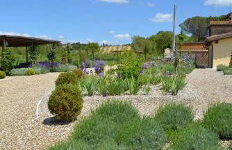 Rinidia Bio - Foto 26