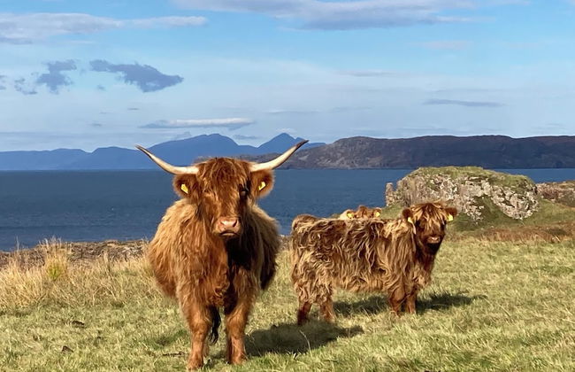 Belmont Chapel Cottage - Photo 2