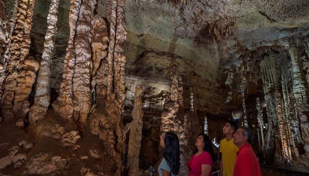 Natural Bridge Caverns Discovery Tour - Foto 3
