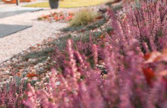 Śnieżka Exclusive Apartamenty - Foto 69