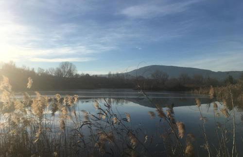 Holiday home Punta D'Oro with garden, parking place and lake access at 300 m - Foto 54