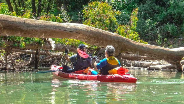 Tour en kayak por el río Guadiaro - Foto 2