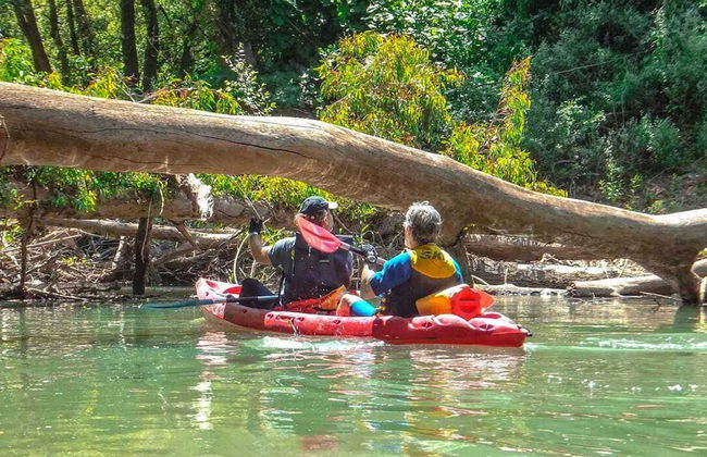 Tour en kayak por el río Guadiaro - Foto 2