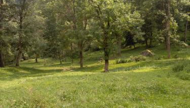 Agriturismo Ciambun - Foto 2