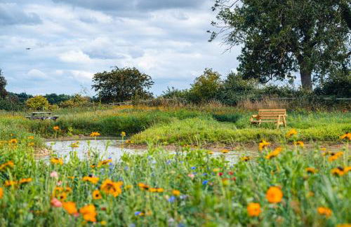 Andrus - Mayflower Meadow - Foto 26