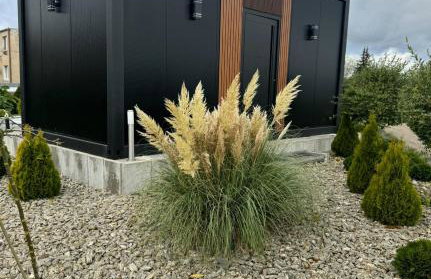 Vigor Horses - Foto 9