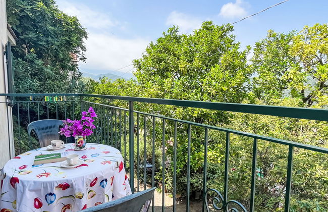 Elisa (DOL127) - Foto 8