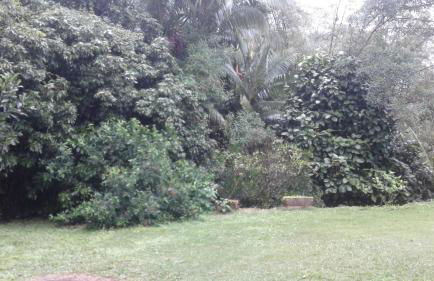 Sitio Santa Lucia - Foto 14