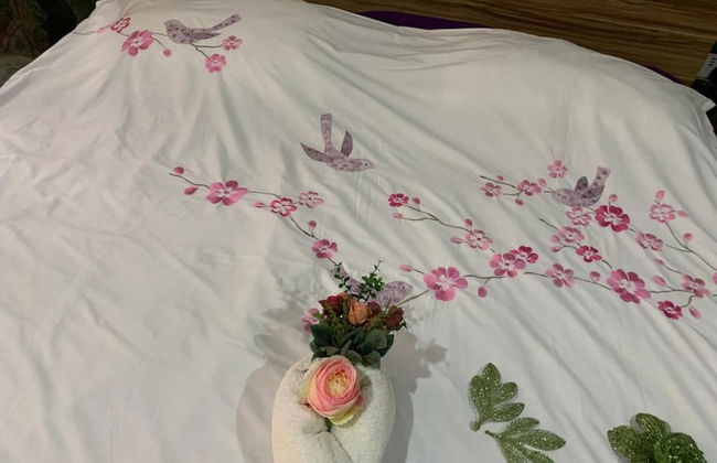 1bed Apartment - Parking, Wifi, Balcony, Bbq - Photo 17