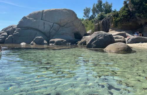 Mareblu Simius - Foto 33