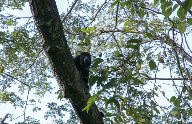 Villas Cabuya Beach & Forest - Foto 65