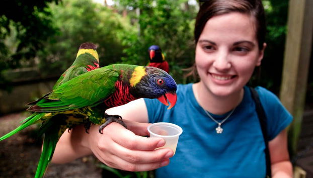 ZooTampa en Lowry Park
