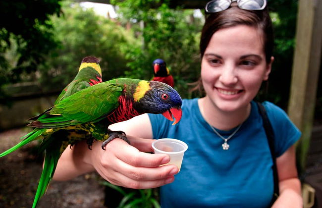 Tampa Bay CityPASS® - Foto 4